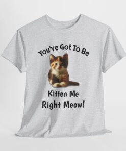 a t-shirt with a cat on it